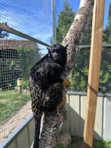 Pokoje Spa z widokiem na Jezioro