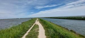 Salicornia Rooms