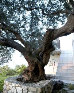 Private villa in Kefalonia island