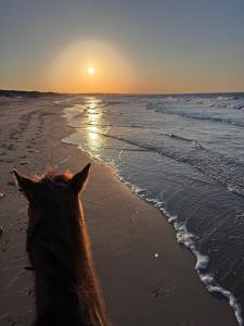 Sole & Mare, Platamona