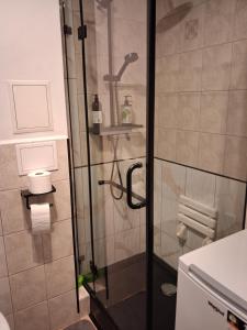 Apartment with air conditioning next to Arkadia park, 38 sq meters