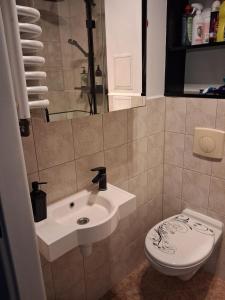 Apartment with air conditioning next to Arkadia park, 38 sq meters