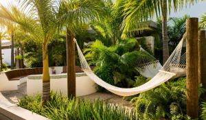 Avida Residences Confort