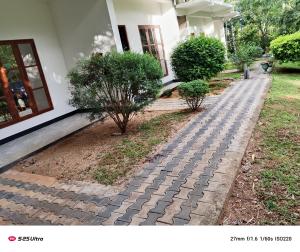 yoma wild safari bungalow