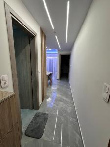 Luxury Haven Fully Renovated Designer Apartment