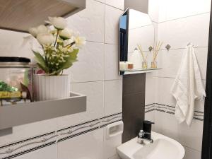 Elegant apartment in a central area of Asunción 1D