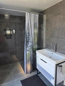 BRĪVDIENUKOLKA apartamenti 1