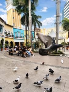 1BR Suite BGC Venice Grand Canal Staycation