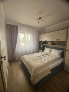 Apartament 29