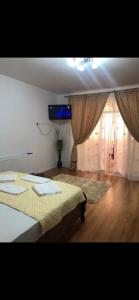 Studio Mamaia nord