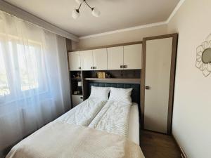 Apartament 29