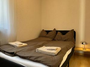 Central apartment in Zermatt