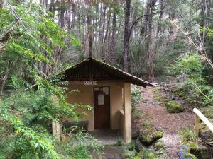 Termas Palguin Pucón