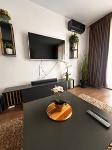Honeymoon Garden Residence Airport Therme Otopeni Apartment Self Check-in Free parking