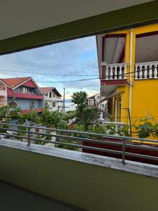 Green House