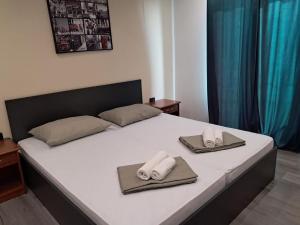 Apartment Nikola