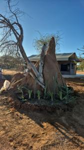 Orpheus Inn & Glamping