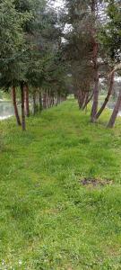 Zacisze Nad Stawami