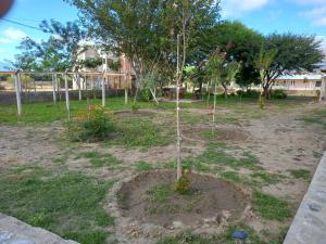 Las Moras
