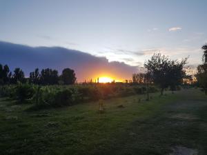 Aires de Campo