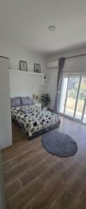 Modern haven in Hydra