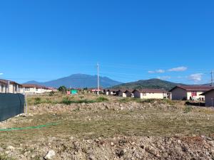 D&Z BoqueteHome