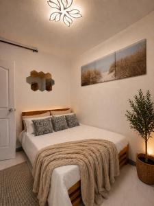 Keas Cozy your Home Away from Home
