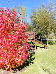 Quinta La Angelica