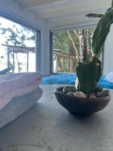 Tiny house Escondite de brujos