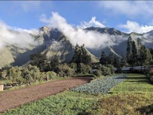 Florez de la Villa - Sacred Valley