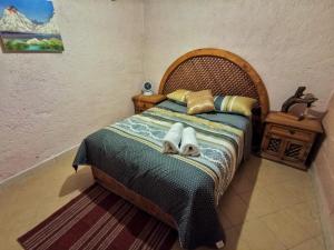 Chantli Nawi Glamping & Temazcal