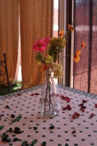 Riad Afriquia Garden
