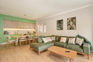 House Olive Tree