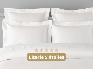 Pullman Bordeaux Lac
