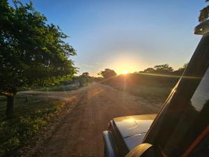 Emarald Yala safari tours