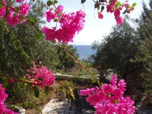 Nereidi Villas Paxoi Greece