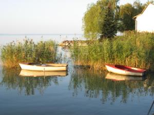 Fecske Home Zamárdi