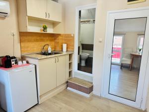 Room Nencheva