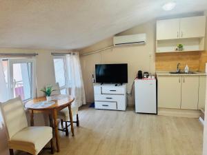 Room Nencheva