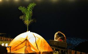 Tourist Land Resort