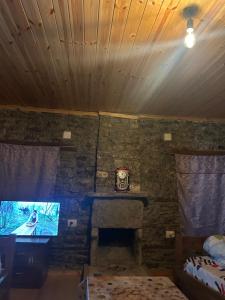 Vila Jani Stone House Fireplace near Përmet Quiet Nature Stay