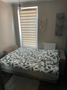 Apartament pod dębami
