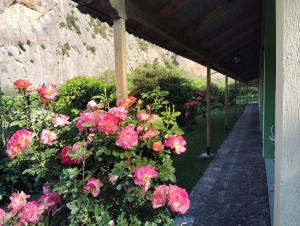 Guesthouse Eleftherios