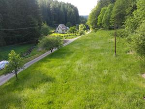 Only Meadow