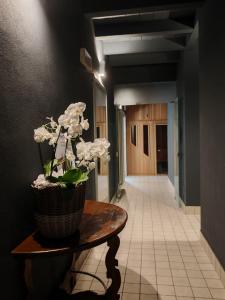 Bes Hotel Bergamo Cologno al Serio