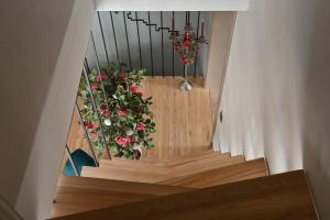 Guest house Kajaki-Ragaciems