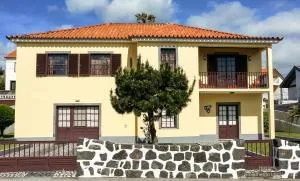 Hospetur 2 - Орта