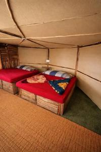 Sholanest Mud House and Farm Stay in Vattavada Near Munnar