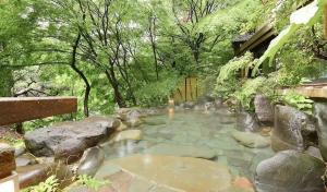 Room only -Classic Nikko ryokan with natural hot springs