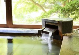 Room only -Classic Nikko ryokan with natural hot springs